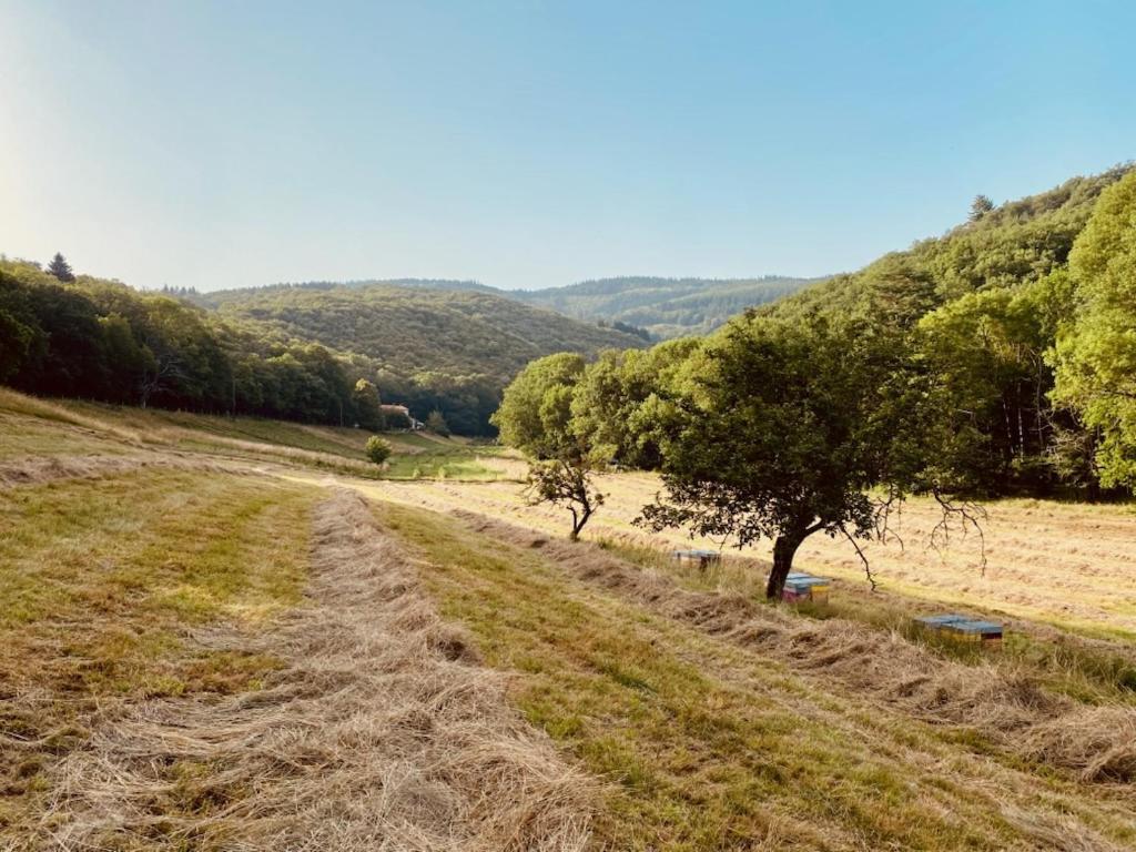 Courniou Nabat Le Haut, Chambre Et Table D'Hotes מראה חיצוני תמונה