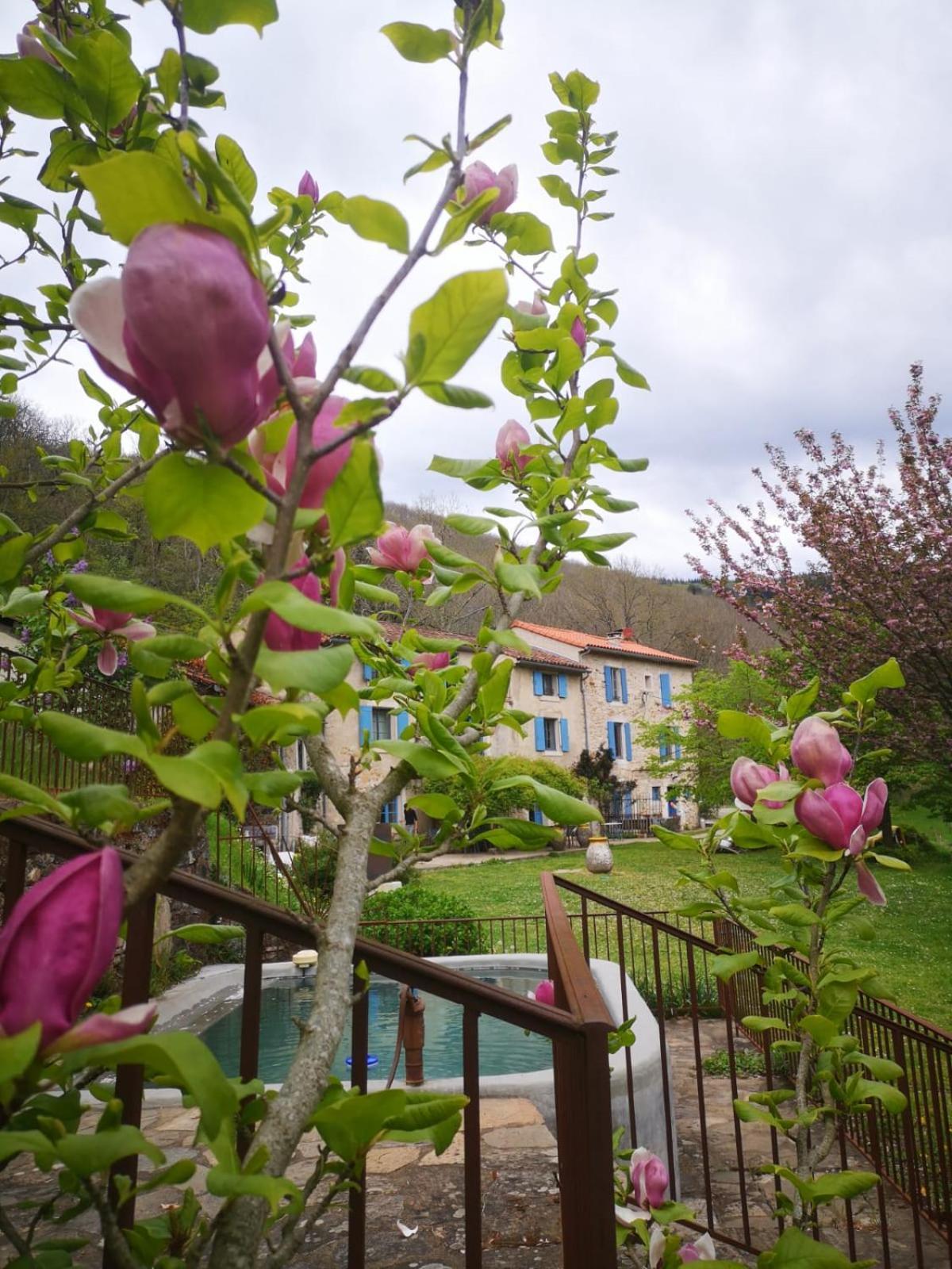 Courniou Nabat Le Haut, Chambre Et Table D'Hotes מראה חיצוני תמונה